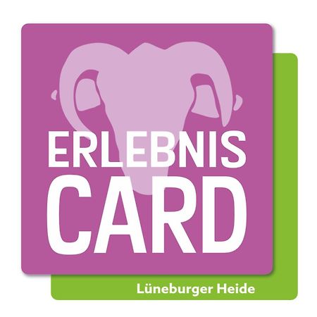 Ferienwohnung Kiefernblick-Wedemann Bispingen Zewnętrze zdjęcie